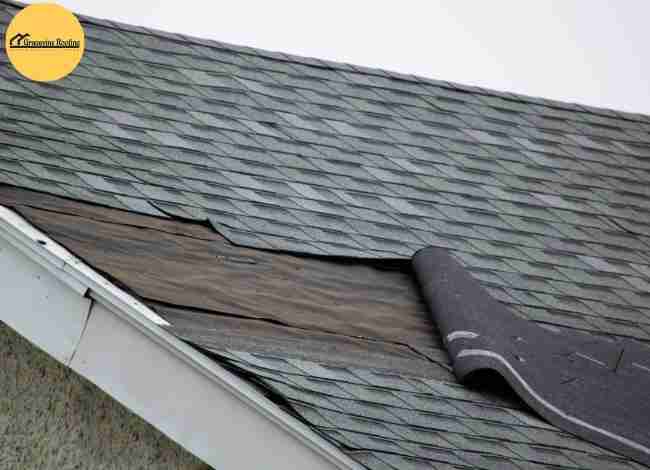Damaged shingles causing roof leak needing repair